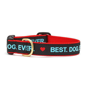 Best Dog Ever Dog Collar