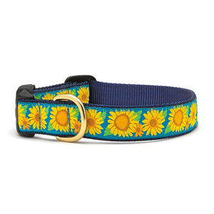 Bright Sunflower Dog Collar