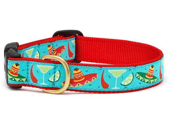 Cinco De Mayo Teacup Collar and Lead Set