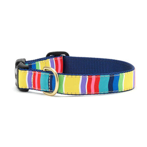 Colourful Stripe