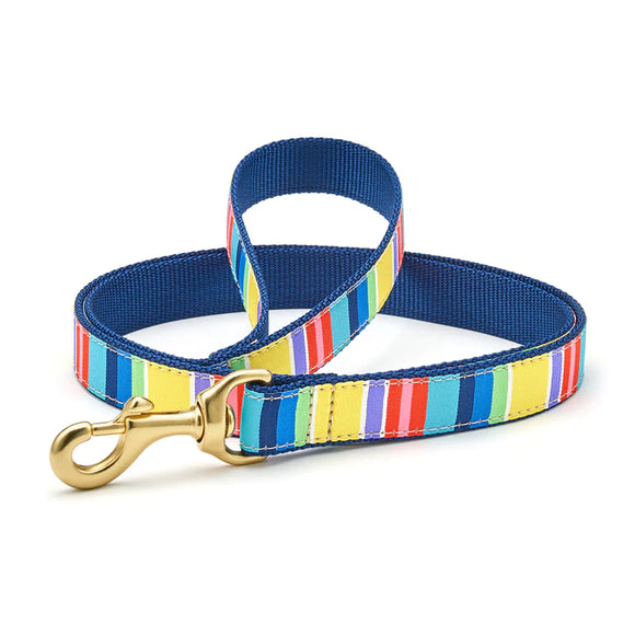 Colourful Stripe Lead