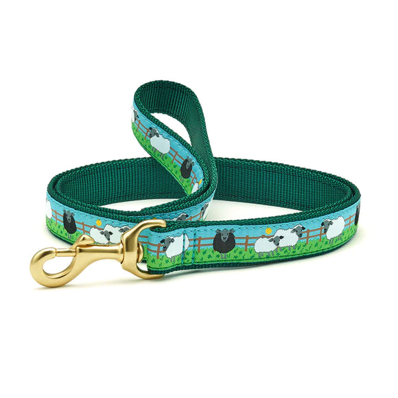 Up country dog deals leash