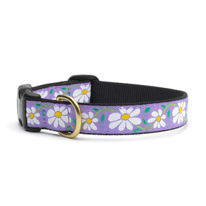 Daisy Dog Collars from Absolutely Animals