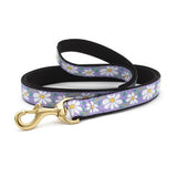 Daisy Teacup Collar and Lead Set