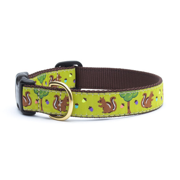 Nuts Dog Collars from Absolutely Animals