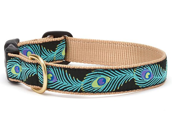 Peacock Dog Collar