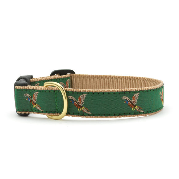Pheasant Dog Collar from Absolutely Animals