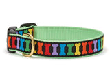 Rainbones Teacup Collar and Lead Set