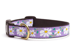 Daisy Teacup Collar and Lead Set