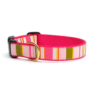 Donna Stripe Dog Collar