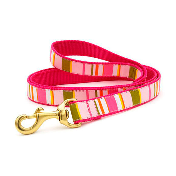 Donna Stripe Dog Lead